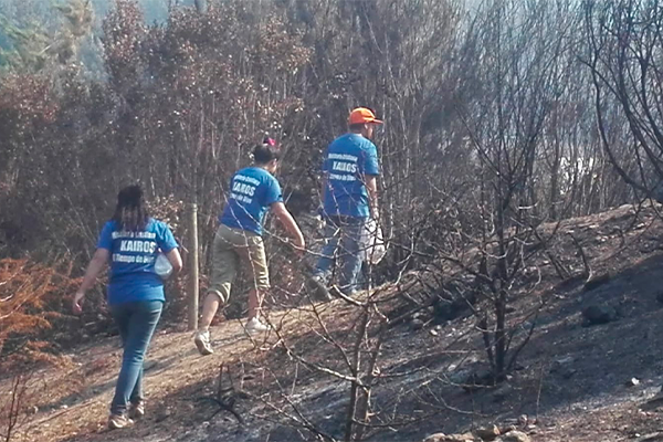 Solidario